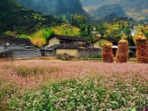 Đặc sản Hà Giang làm quà chuẩn vị truyền thống