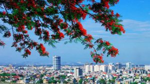 Đặc sản Hải Phòng làm quà đặc sản truyền thống đất cảng